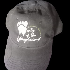 Agent of the Unexplained Hat